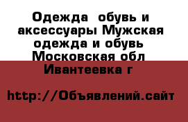 Одежда, обувь и аксессуары Мужская одежда и обувь. Московская обл.,Ивантеевка г.